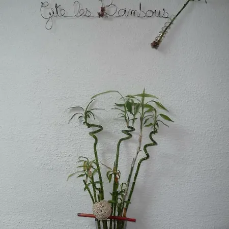 Hébergement de vacances Les Bambous *